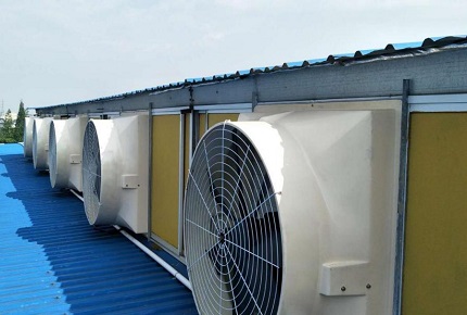 Instructions pour l'élevage de bovins: Comment distinguer l'utilisation des ventilateurs de circulation et des ventilateurs d'échappement dans les hangars de bétail?