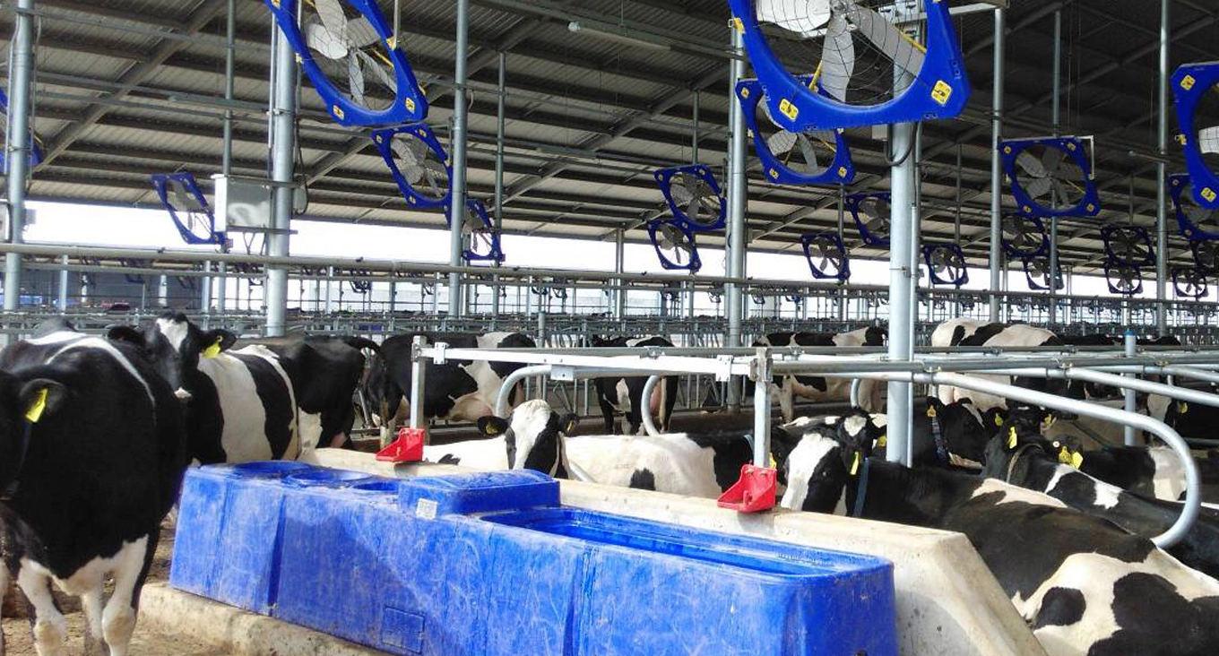 Solutions d'équipement de ferme et de ranch