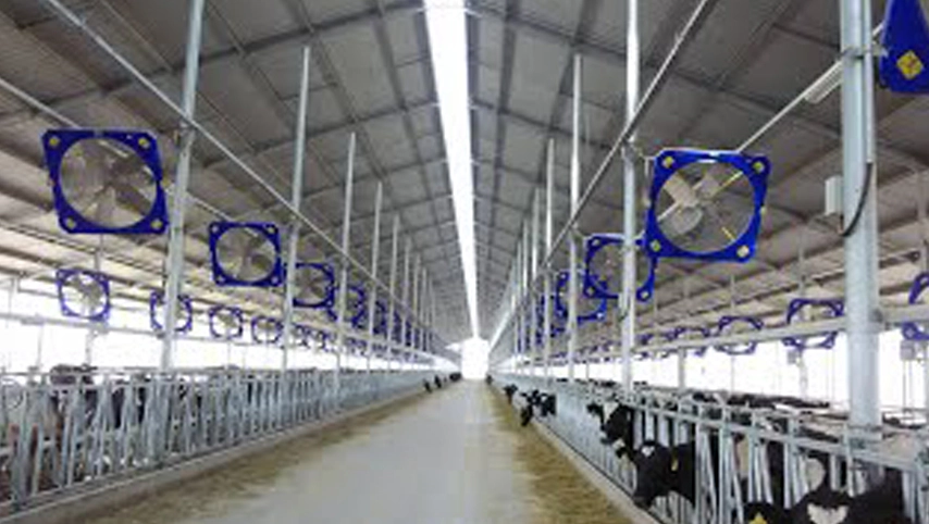 Gros grand ventilateur industriel pour le bétail Ranch Solutions haute efficacité et économie d'énergie