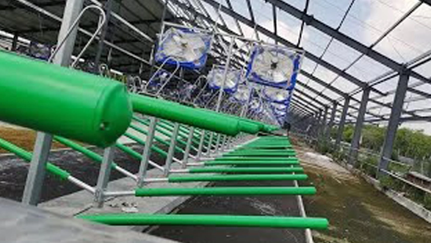 Le fabricant d'usine Terrui de stall sans vache fournit des équipements de ranch