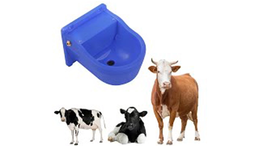 Acrin de bétail automatique, grand bol d'eau pour cheval de chèvre, vache, mouton