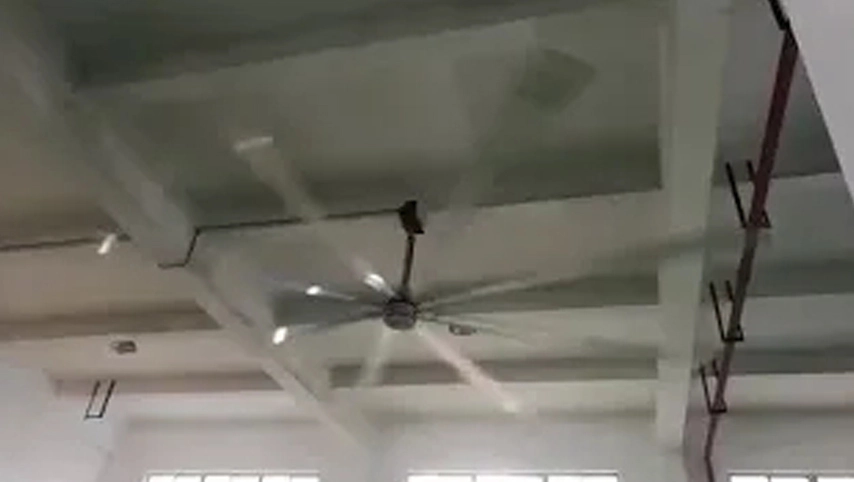 Ventilateur industriel plafond 24ft grand ventilateur industriel Hvls 8 lames fabricant Chine