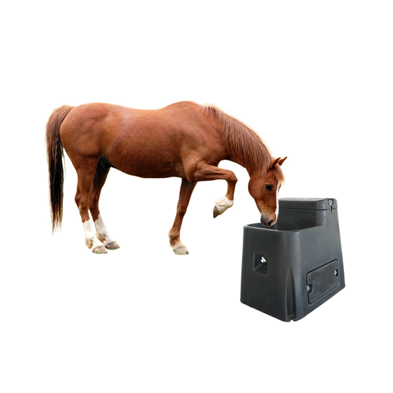 Buveurs de cheval à trou unique automatique