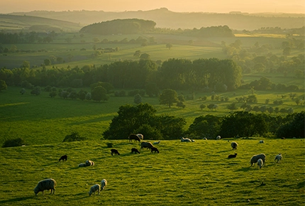 Équipement de stock vivant pour grand lieu public