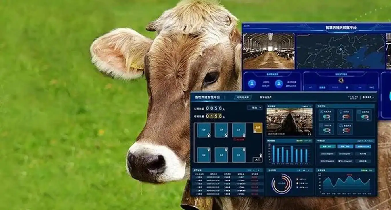 Ranch intelligent IoT