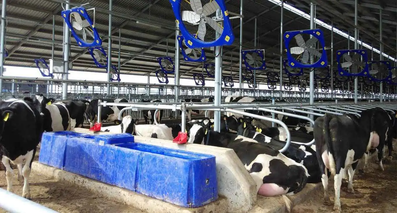 Solutions d'équipement de ferme et de ranch