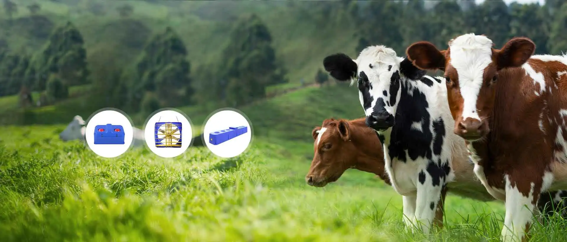 Expérience de qualité inégalée avec l'équipement d'élevage Terrui