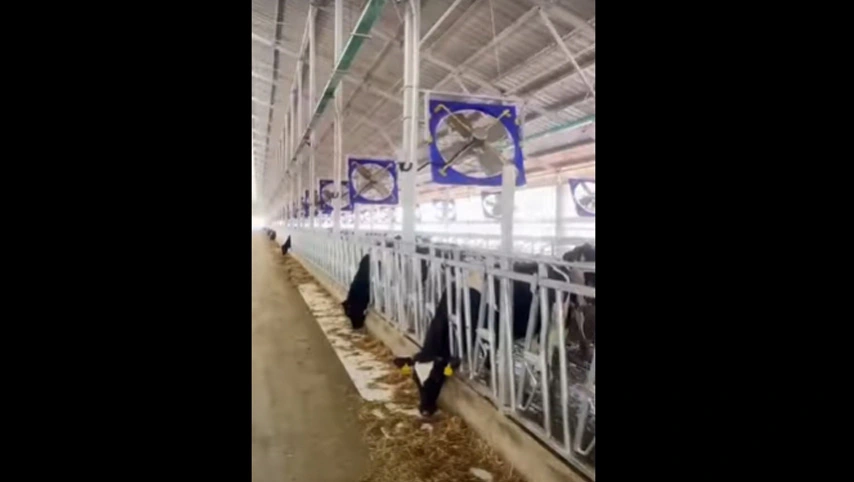 Ventilateur industriel de 38 pouces