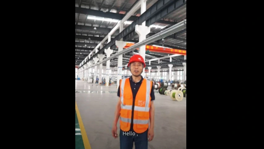 Ventilateurs de plafond