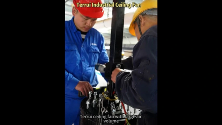 Ventilateur de plafond industriel Terrui