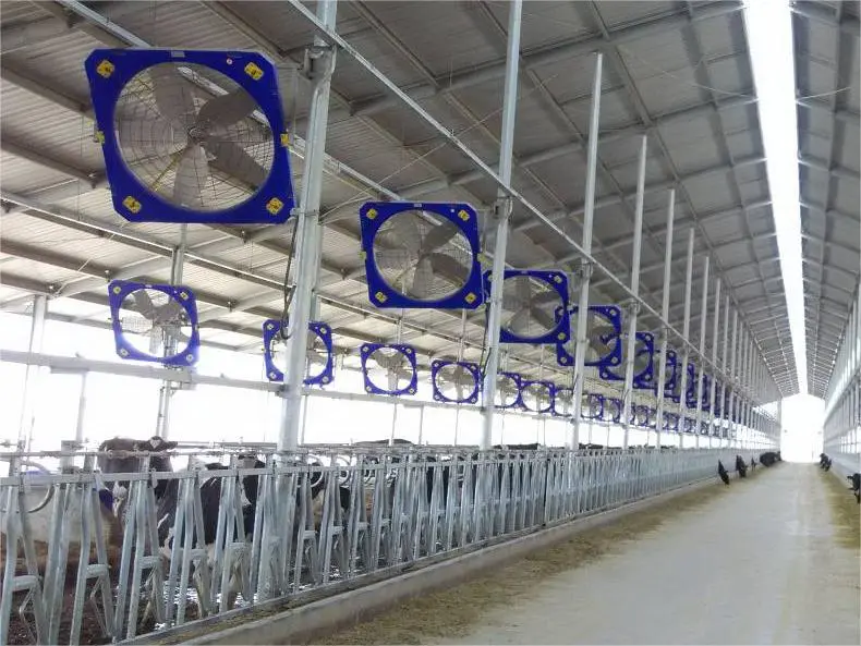 Meilleur guide pour la vache à porter pour les débutants