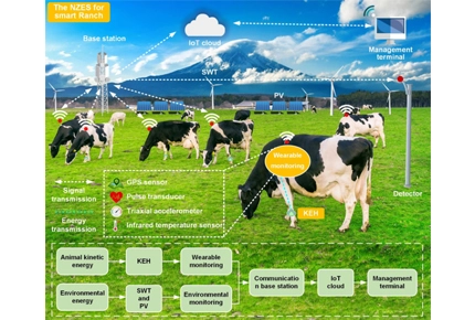 Système de ranch intelligent-Solution de ranch intelligent