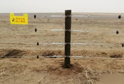 Clôture de prairie invisible: effets positifs sur le bétail