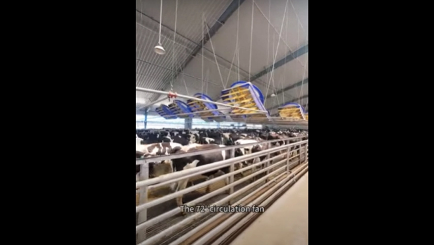 Ventilateur de circulation 72