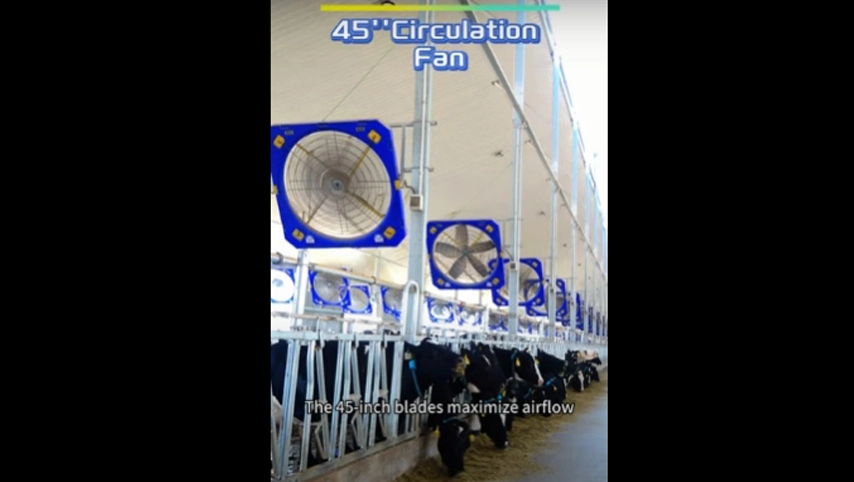 Ventilateur de circulation