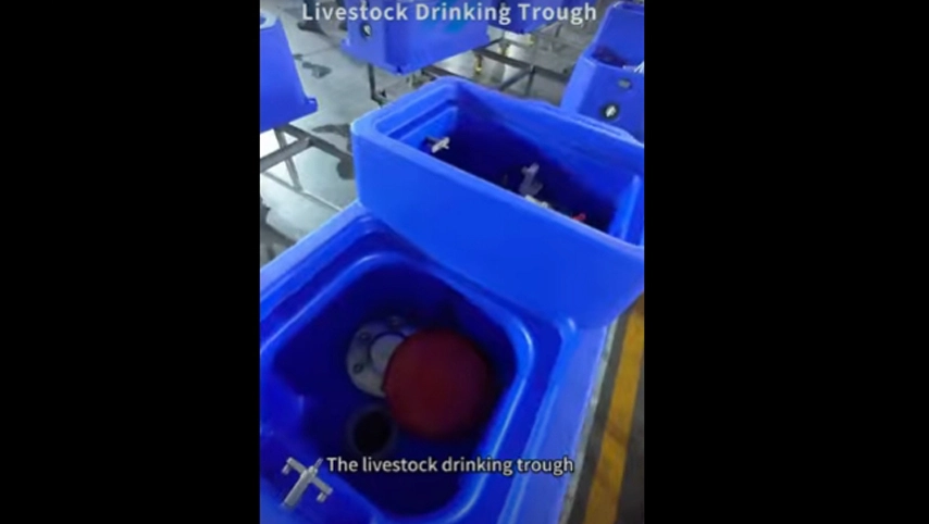 Abreuvoir à bétail