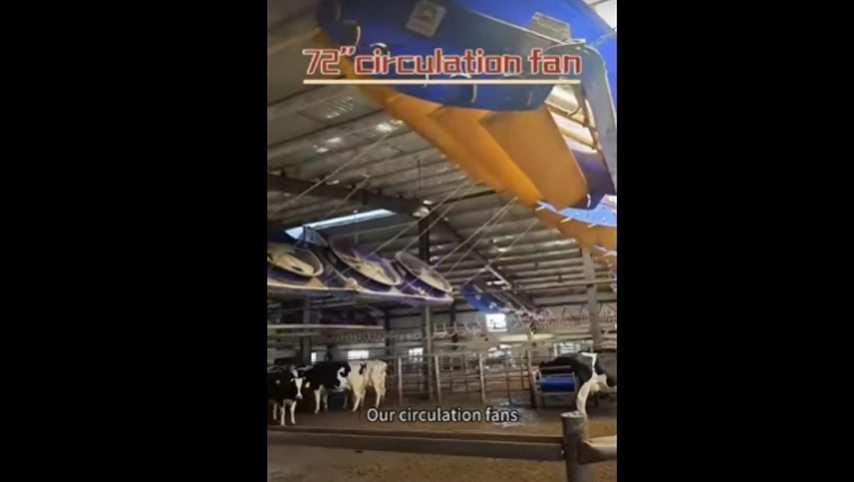 Terrui-72 ''ventilateur de circulation