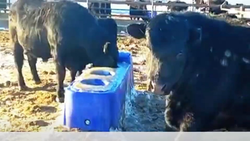 Abreuvoir terrui-élevage