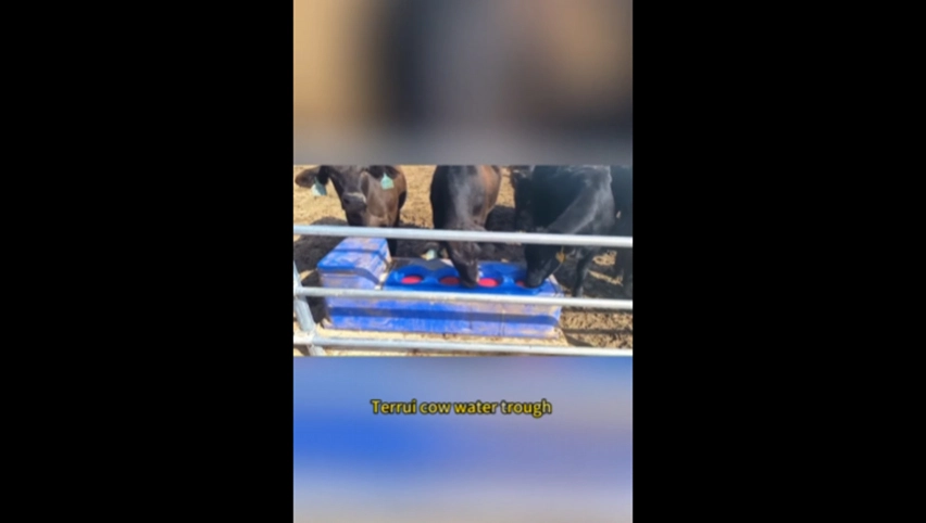 Creuser à eau de bétail