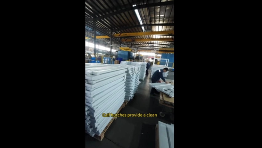 Terrui Matériel d'élevage