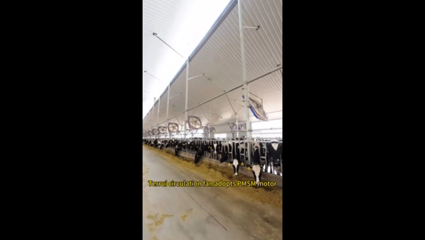 Ventilateur de circulation