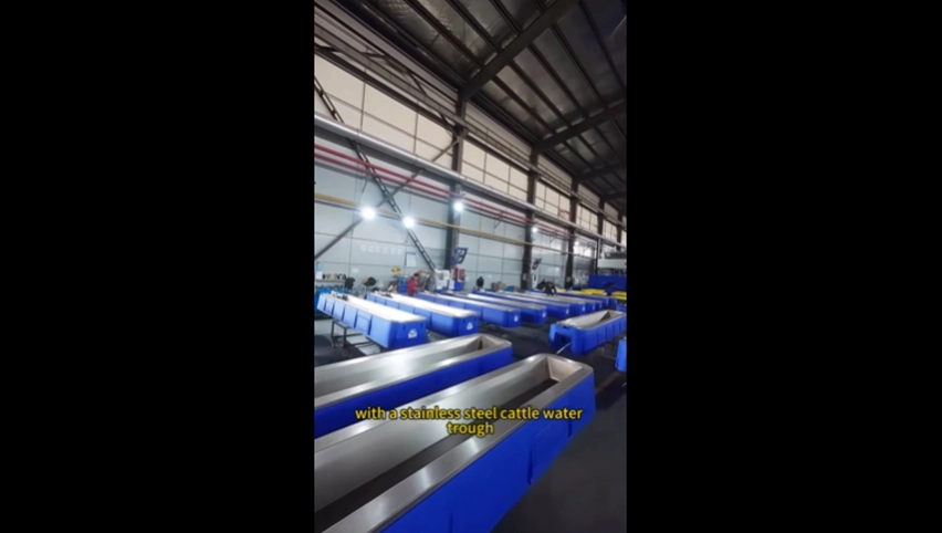 Auge de dringking en acier inoxydable