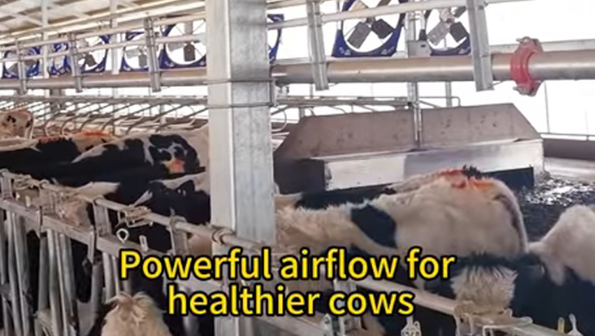 Ventilateur de circulation