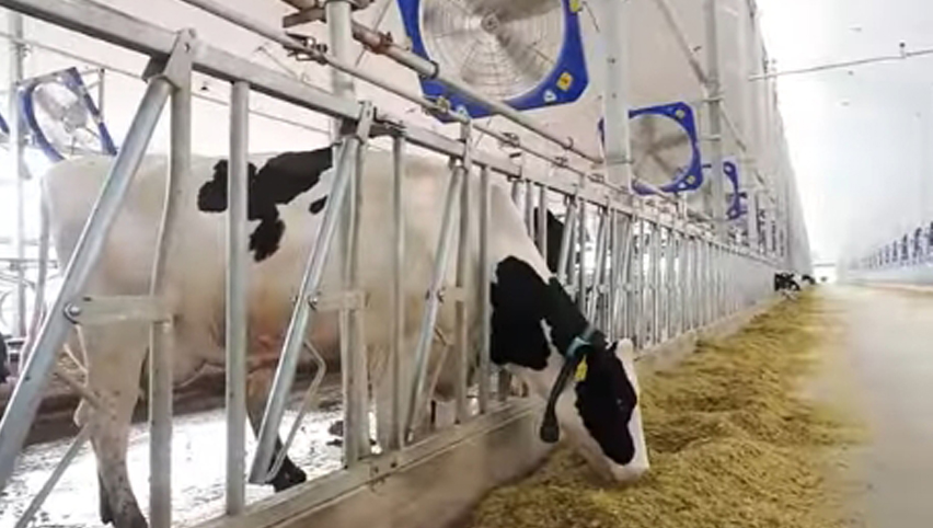 45 ''ventilateur de circulation