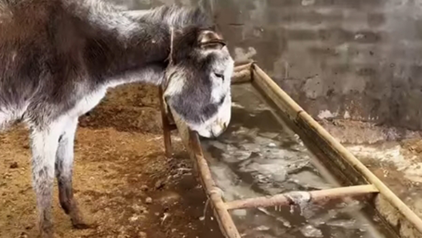 Comparaison de l'évier