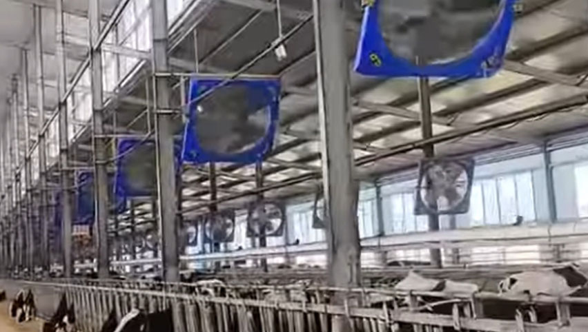 Ventilateurs de circulation de 38 pouces