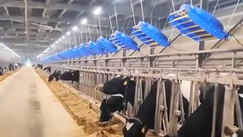 Ventilateur de circulation 72 pouces