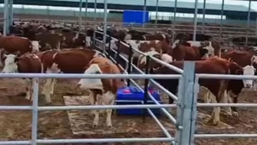 Creux d'eau chauffé