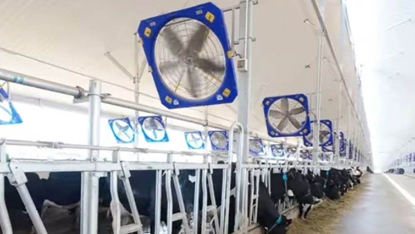 Ventilateur de circulation 45''