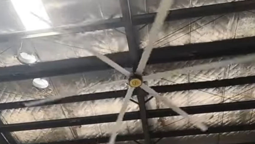 Ventilateur de plafond hvls