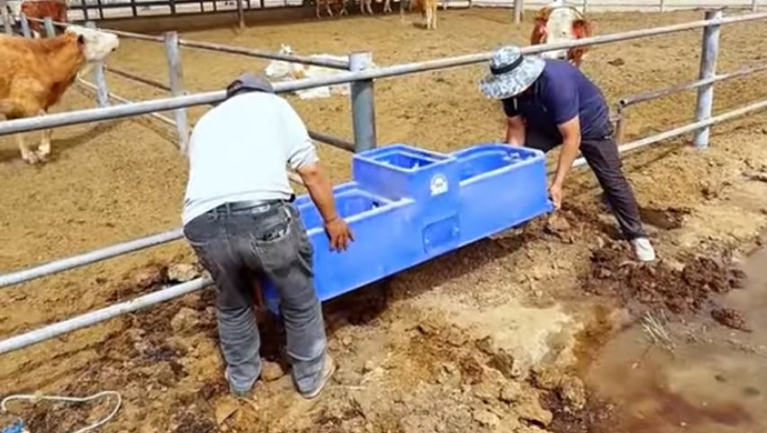 Trauge à eau Terrui