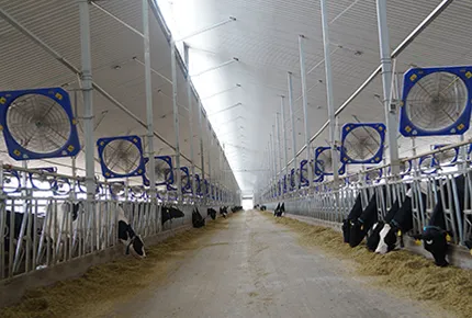 Conseils de ventilation économes en énergie pour les fans de ranch