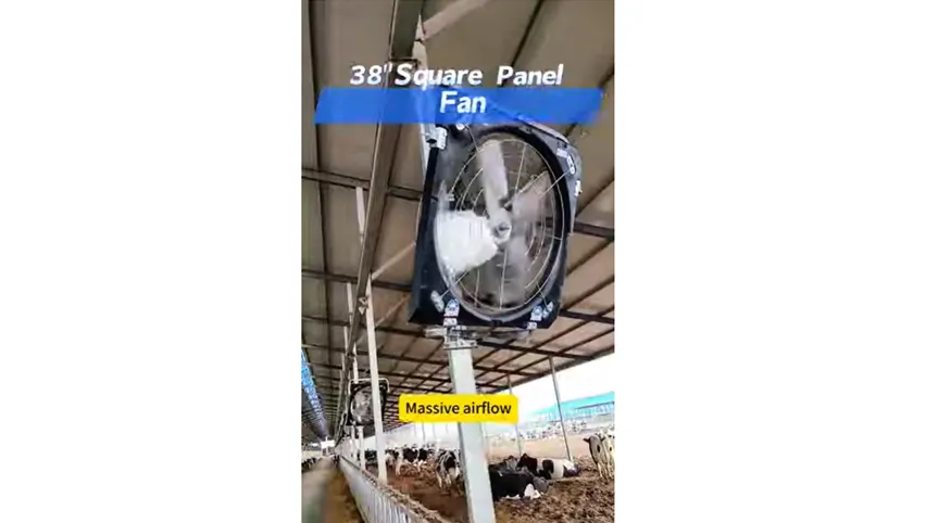 Vidéo de présentation du ventilateur à panneau carré de 38 pouces