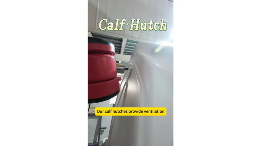 Présentation vidéo de la niche à veau