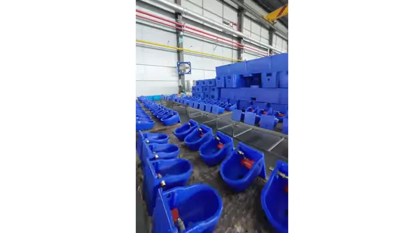 Vidéo de présentation de l'abreuvoir pour bovins