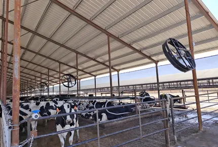 Choisir le bon ventilateur pour votre ferme laitière