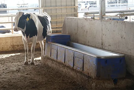 Optimiser le retour sur investissement du ranch : l'ergonomie spatiale et les avantages opérationnels des systèmes d'hydratation professionnels