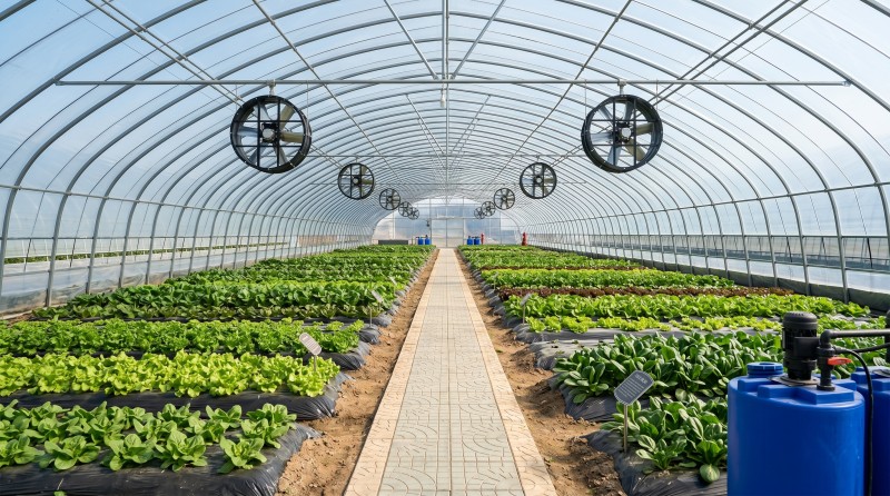 greenhouse_circulation_fan.jpg