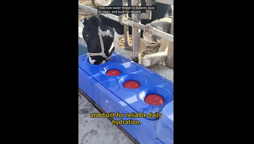 Abreuvoir automatique pour vaches