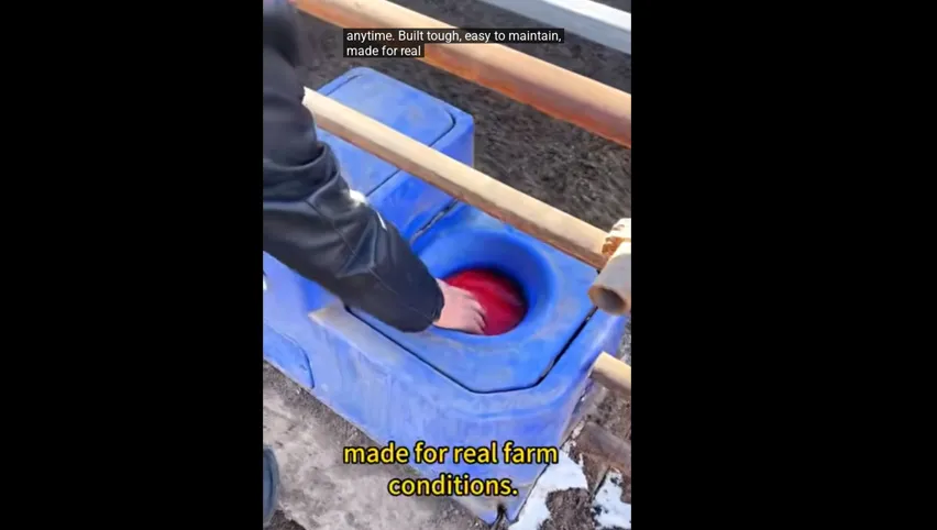 Abreuvoir automatique pour vaches