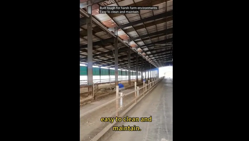 Abreuvoir pour vaches