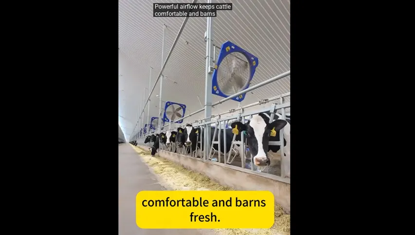 Abreuvoirs pour bovins