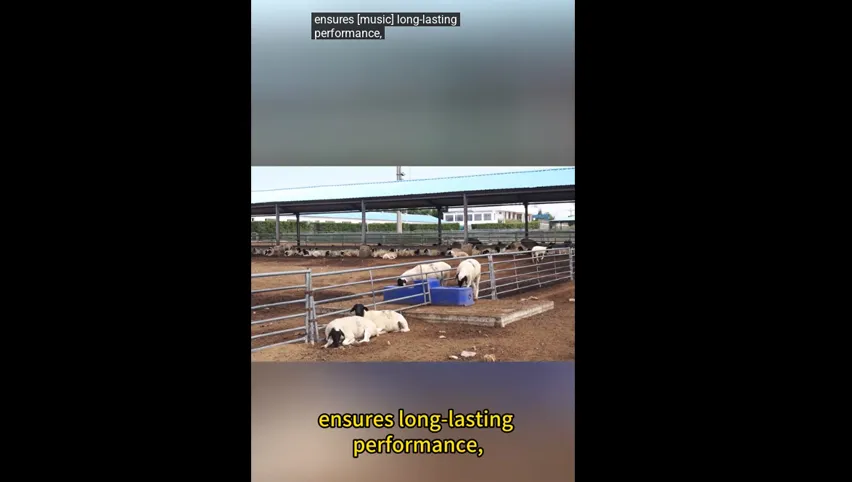 Abreuvoir chauffé pour chèvres