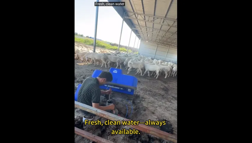 Auge à vaches en acier inoxydable