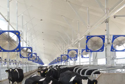 Adieu à l'entretien des courroies : pourquoi les ranchs modernes préfèrent les ventilateurs de circulation à entraînement direct EC en 2026 ?