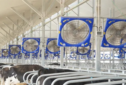 Évaluation stratégique : Gestion de la sensibilité au flux d'air dans les niches pour veaux avec des ventilateurs de circulation de 38 pouces